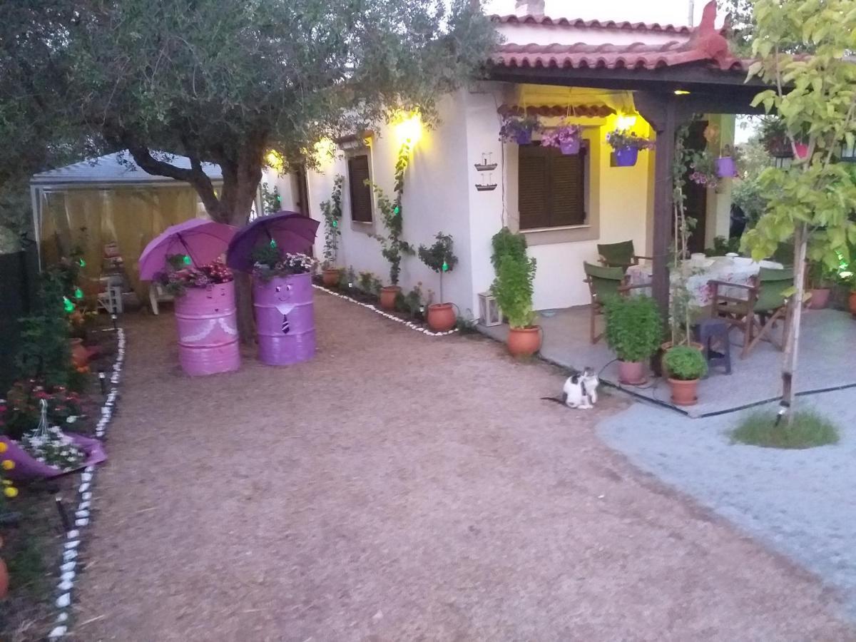 Killini Cottage Studio The Small Cyclades Kastro-Kyllini 외부 사진